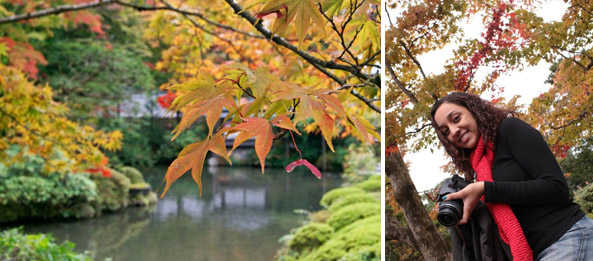 O atributo alt desta imagem está vazio. O nome do arquivo é lindo-jardim-com-folhas-vermelhas-de-outono.jpg