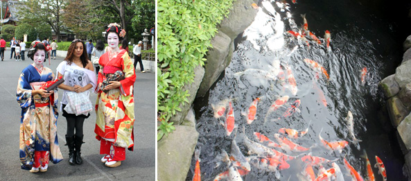 Maikos fajutas e mais magicarps!