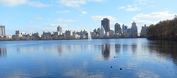 lago central park