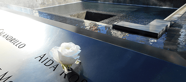 flower at 9-11 memorial