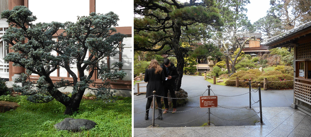 Entrada do jardim japones